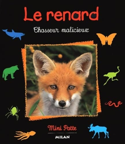 Le renard chasseur malicieux - Havard-c+agence Jacana