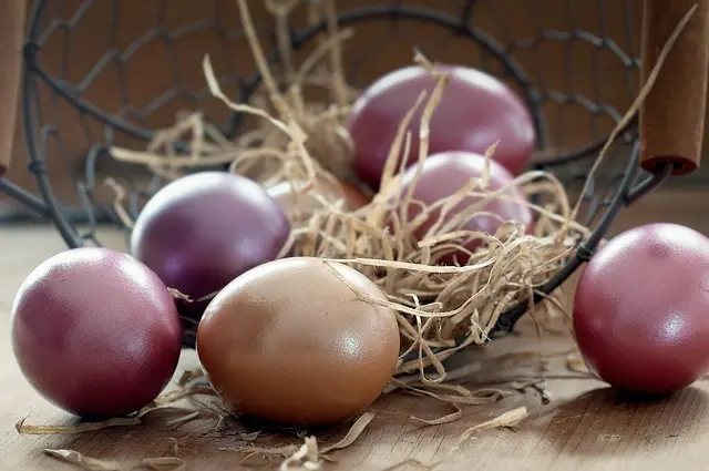 Les traditions pascales à découvrir pour une fête inoubliable